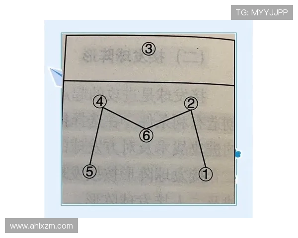 西安排球队的战术调整与比赛表现分析