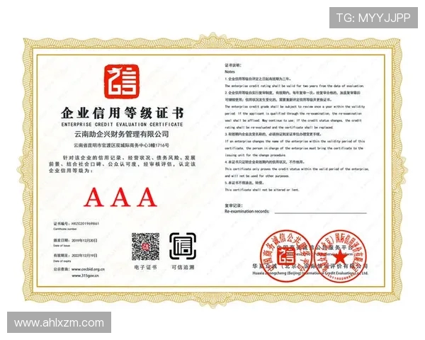 CFO与FNC的战略对比分析：财务管理与金融控制的核心差异